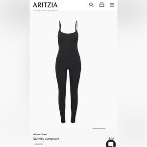 Aritzia Wilfred Divinity Jumpsuit (S)